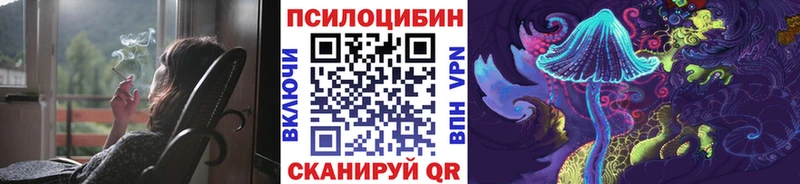 Галлюциногенные грибы Psilocybe  МЕГА ONION  Севастополь 
