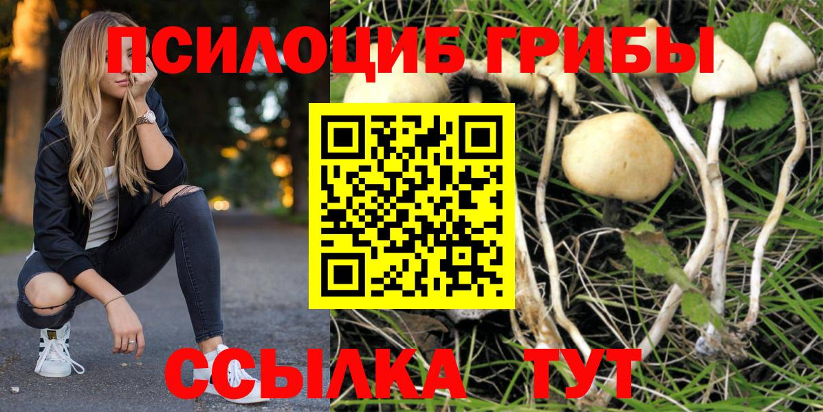Псилоцибиновые грибы ЛСД Севастополь
